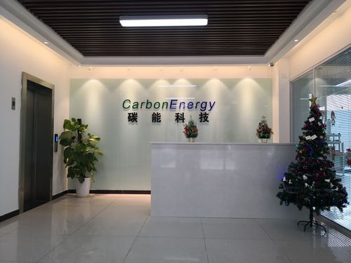 碳能科技与雪鹏科技 将二氧化碳转化为绿色新材料的先锋探索
