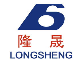 兰州隆晟包装食品机械与雪鹏科技 专注食品机械，赋能行业高效生产